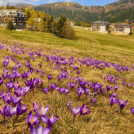 Apartman Harmony Lägenhet Donovaly